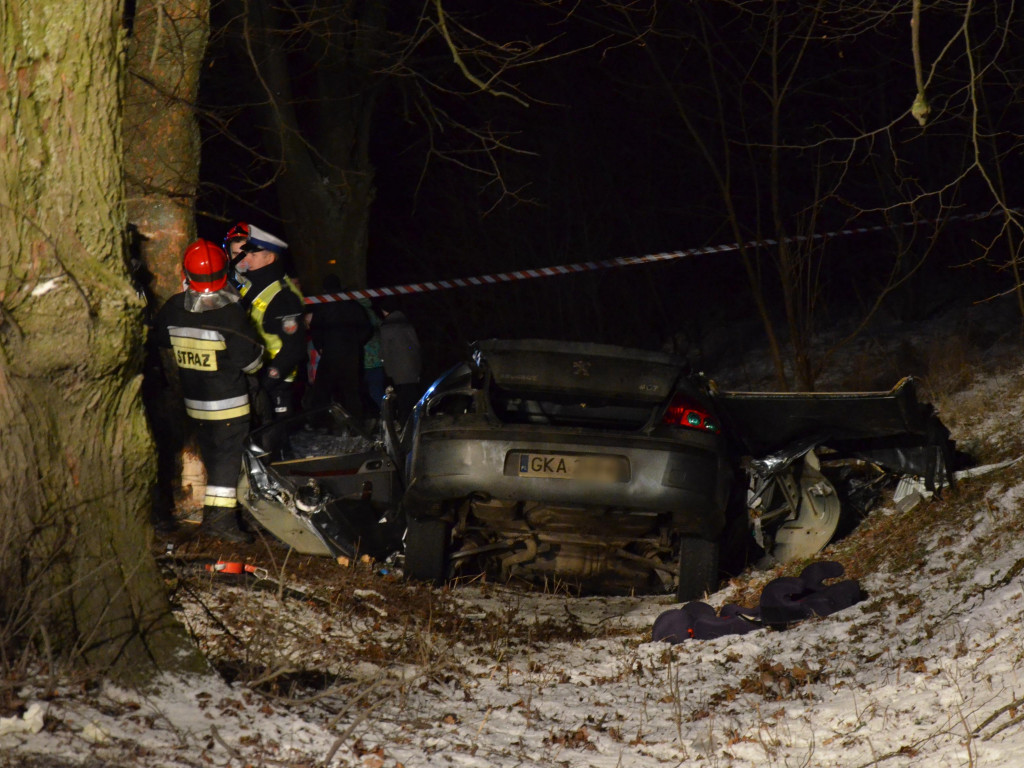 Gowidlino. Peugeot uderzył w drzewo. Jedna osoba nie żyje
