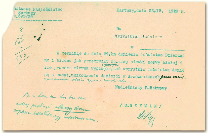 Ślub u nadleśniczego i zaczarowane podwórze weterynarza. Wspomnienia przedwojennych Kartuz