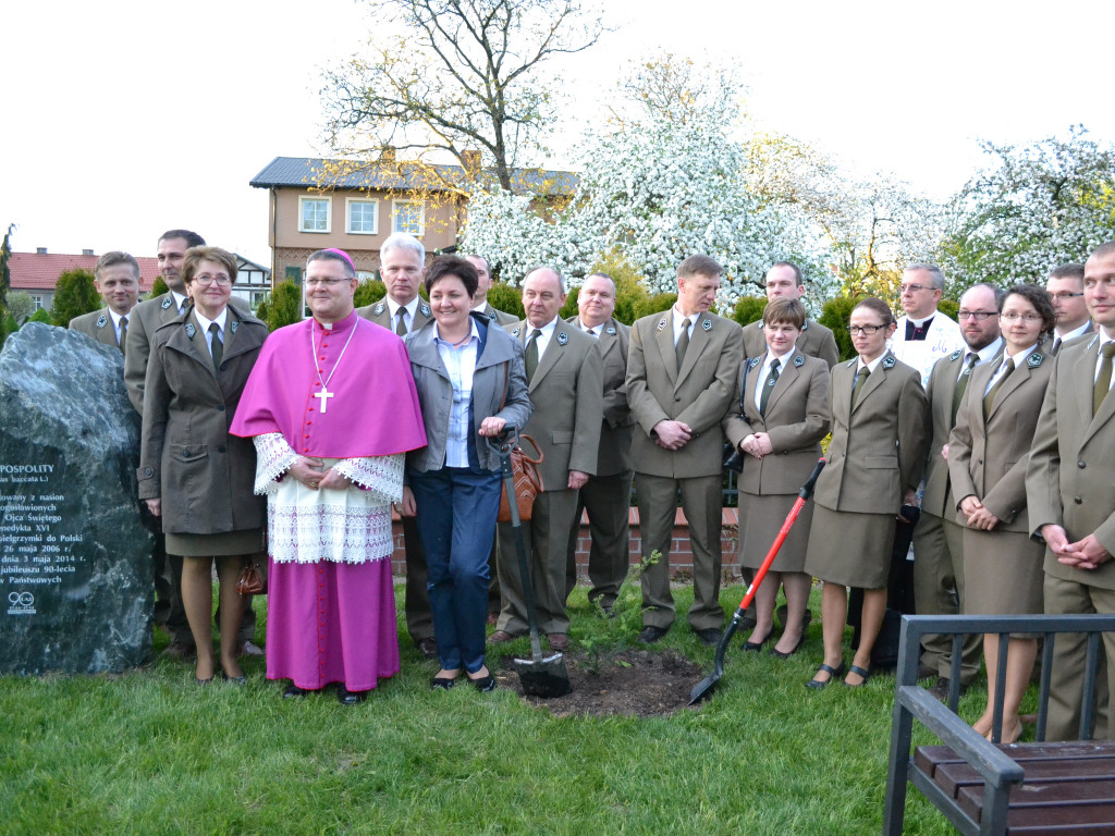 Leśne symbole: drzewa pamięci, miejsca historii. Są też w naszym nadleśnictwie