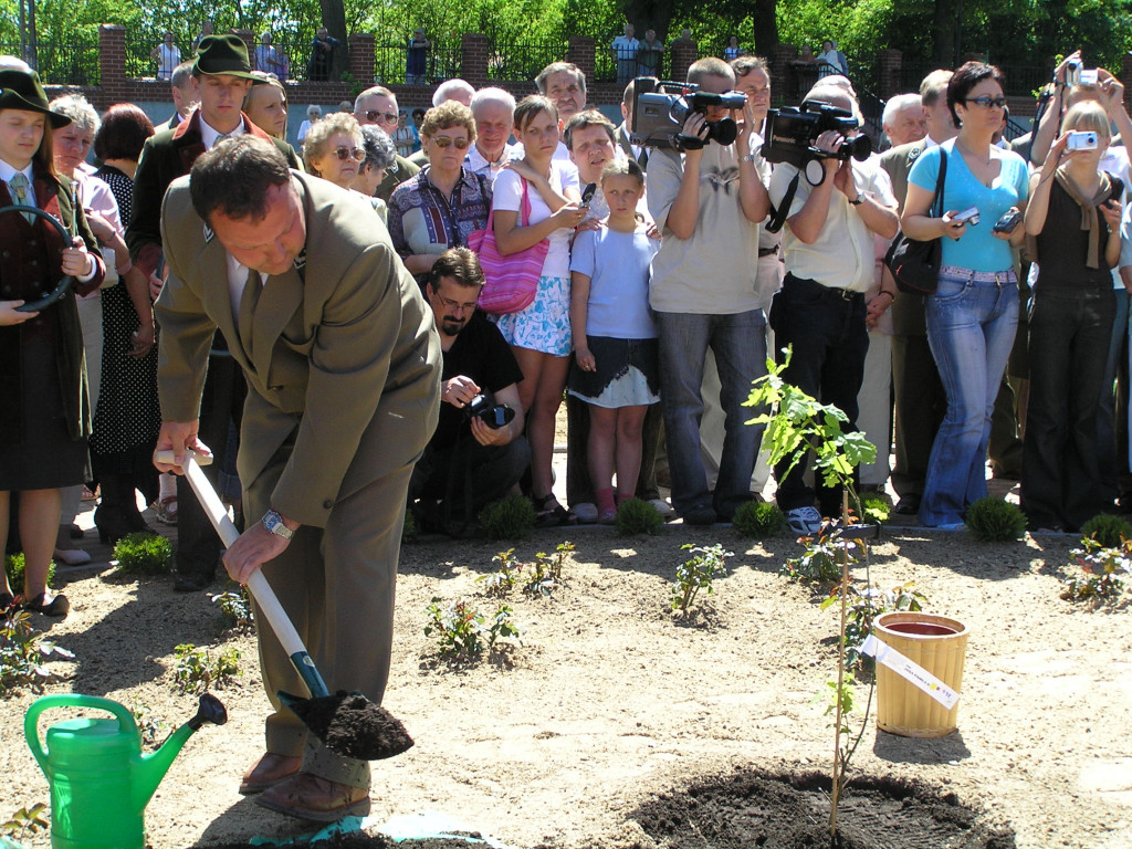 Leśne symbole: drzewa pamięci, miejsca historii. Są też w naszym nadleśnictwie