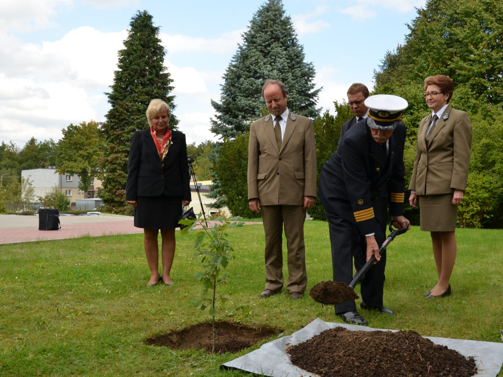 Leśne symbole: drzewa pamięci, miejsca historii. Są też w naszym nadleśnictwie