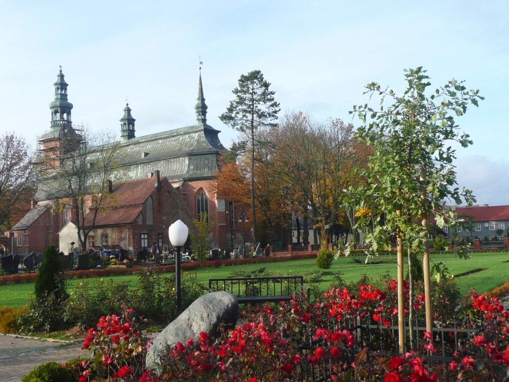 Leśne symbole: drzewa pamięci, miejsca historii. Są też w naszym nadleśnictwie
