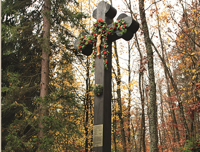 Leśne symbole: drzewa pamięci, miejsca historii. Są też w naszym nadleśnictwie