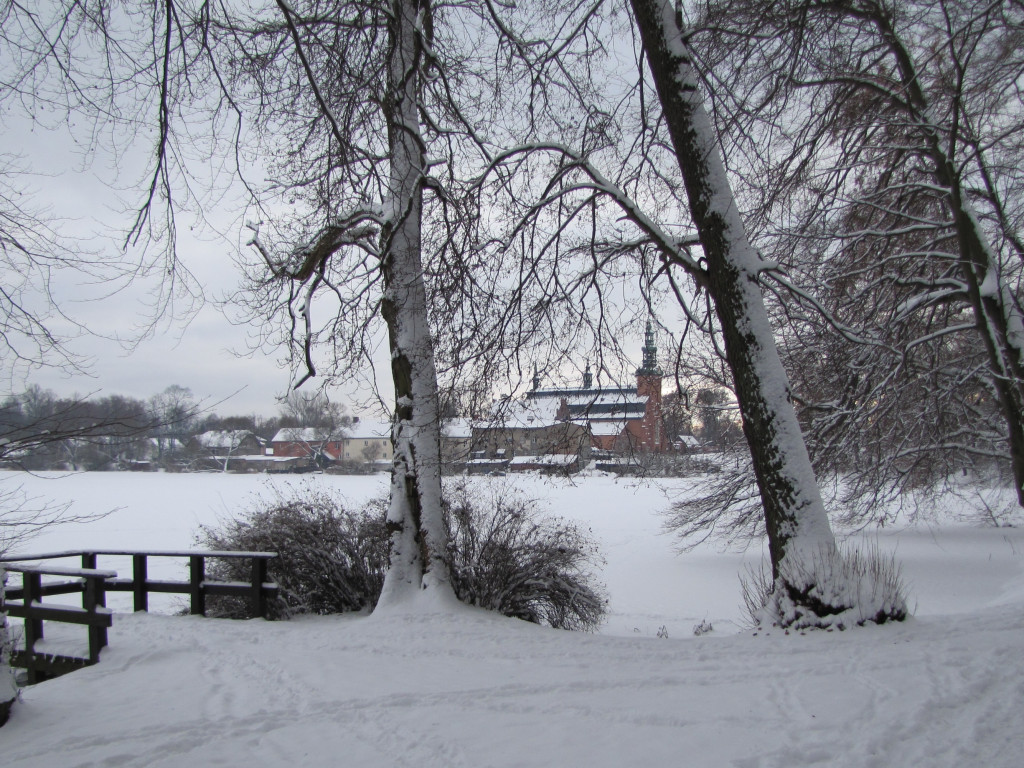 Leśne symbole: drzewa pamięci, miejsca historii. Są też w naszym nadleśnictwie