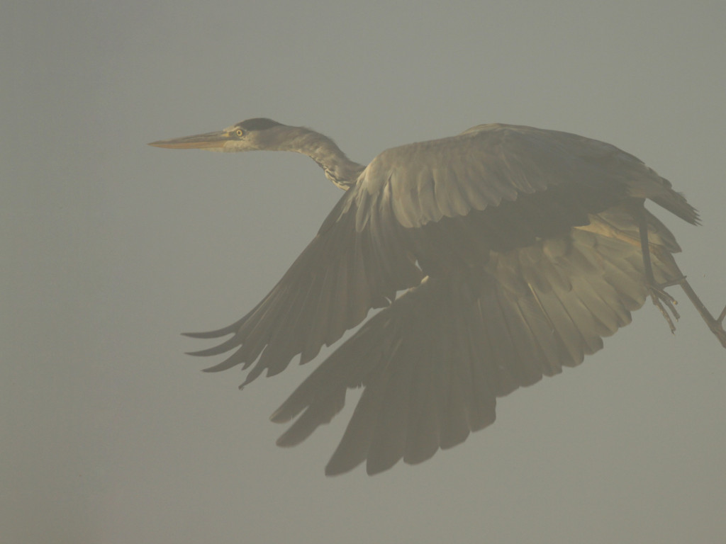 Kilkanaście godzin oczekuje na wymarzony kadr. 