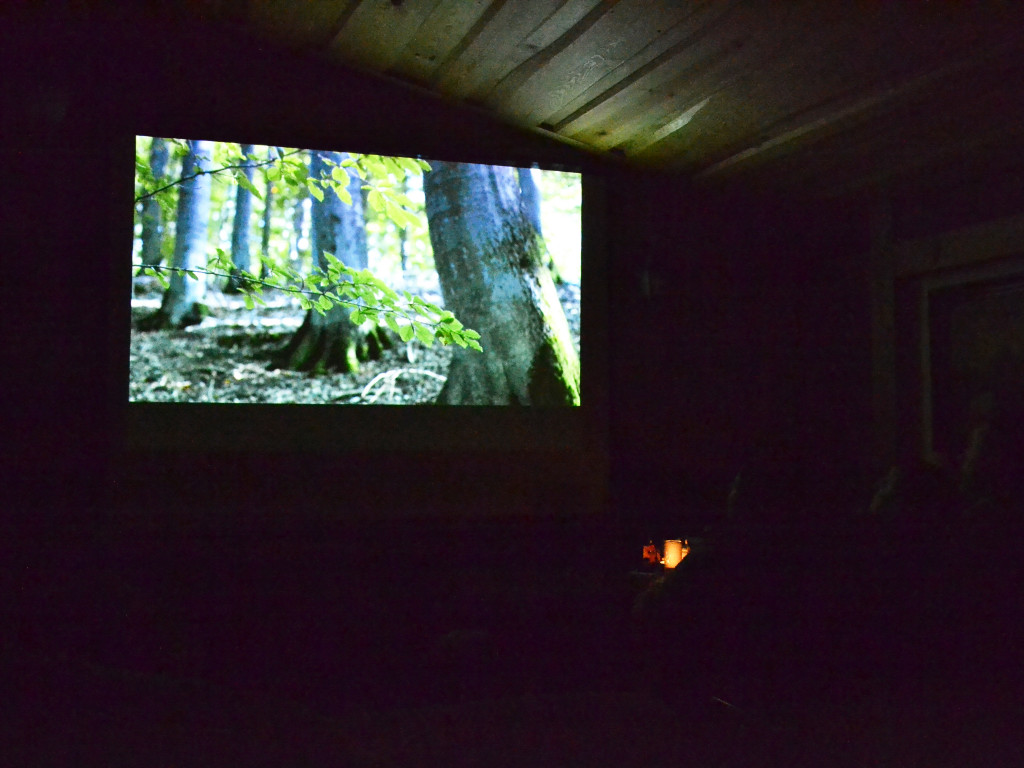 Sulęczyno. Widzowie zachwyceni filmem 