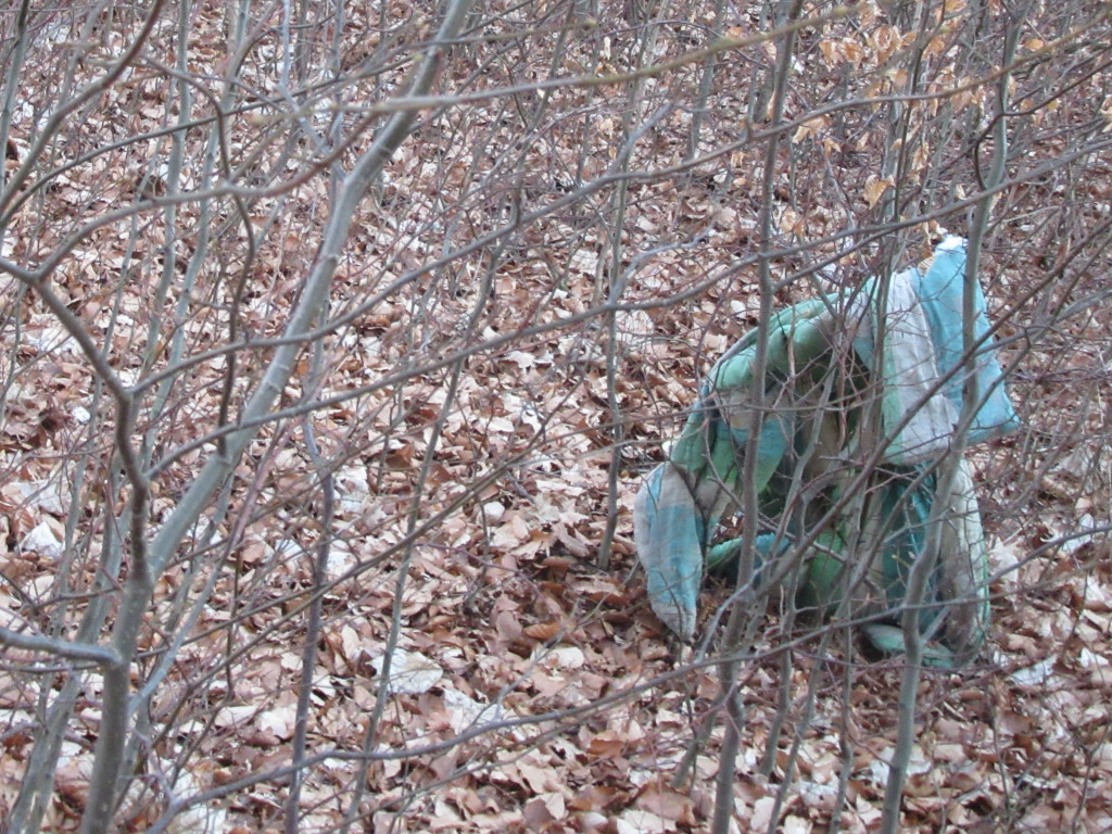 Kartuzy. Rośnie góra śmieci w Gaju Świętopełka