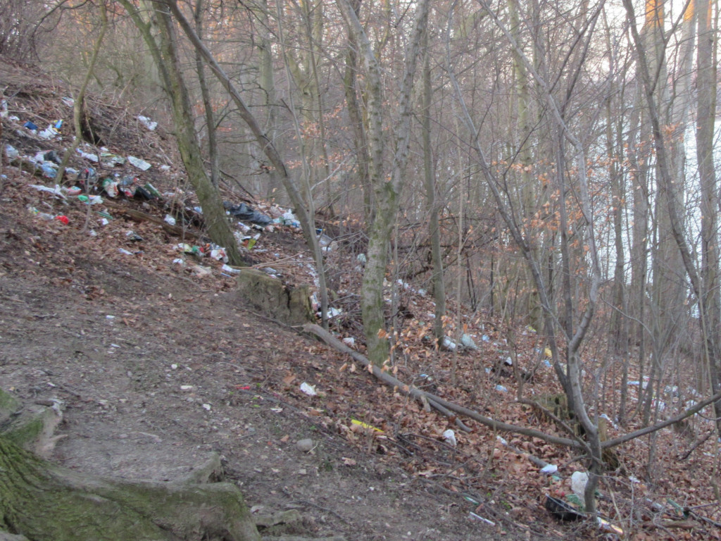 Kartuzy. Rośnie góra śmieci w Gaju Świętopełka