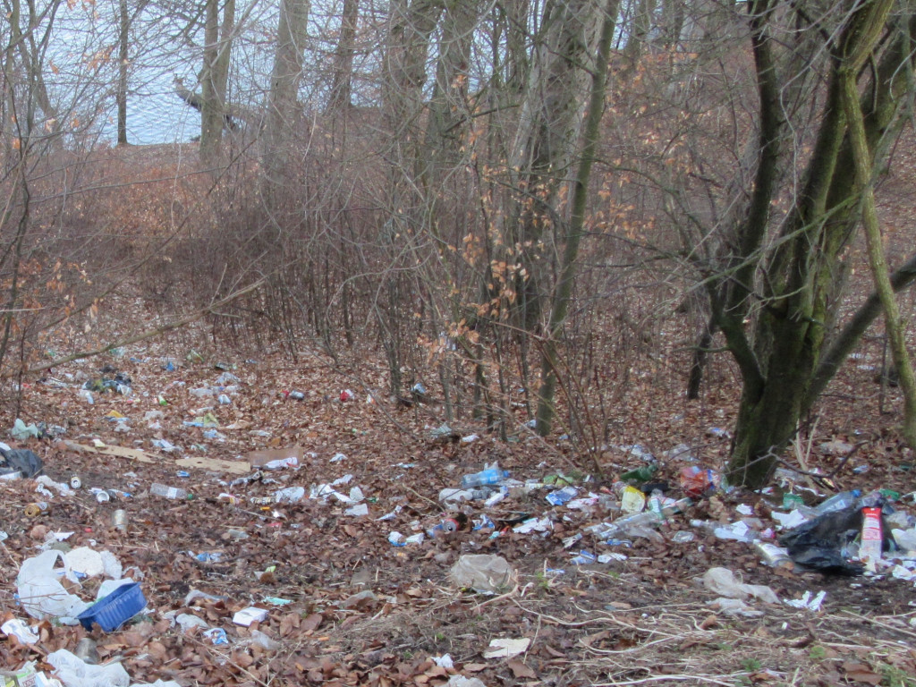 Kartuzy. Rośnie góra śmieci w Gaju Świętopełka