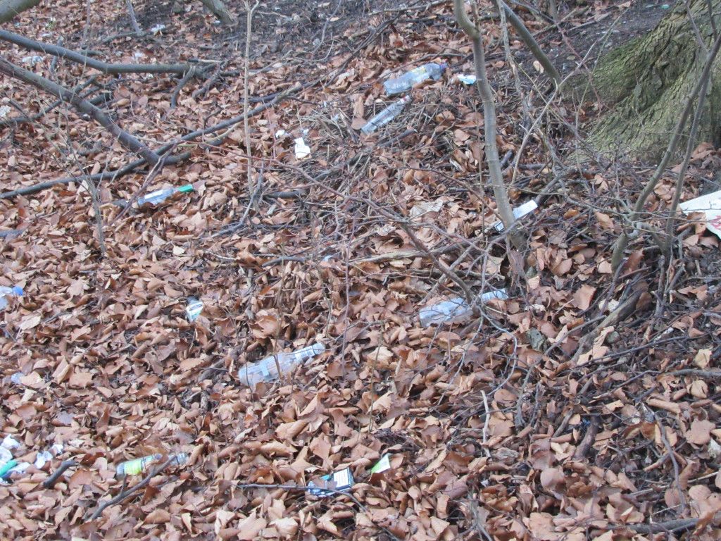 Kartuzy. Rośnie góra śmieci w Gaju Świętopełka