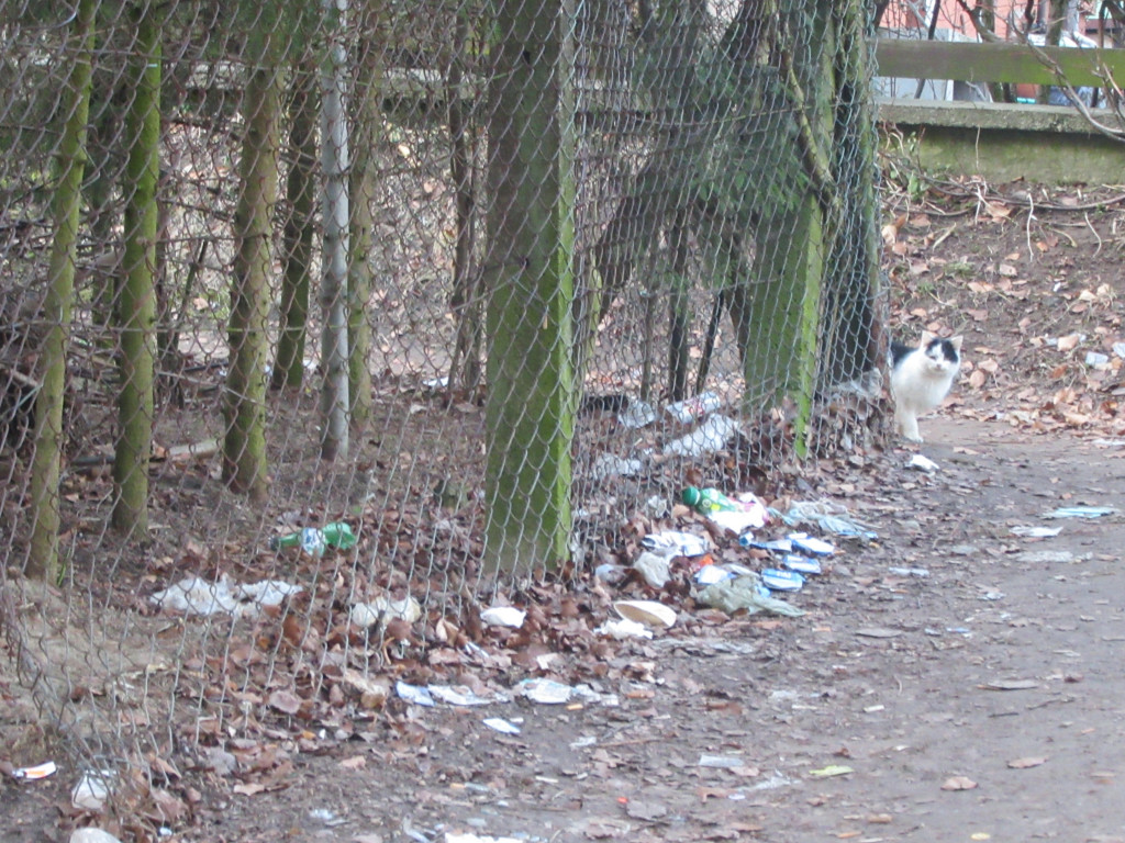 Kartuzy. Rośnie góra śmieci w Gaju Świętopełka