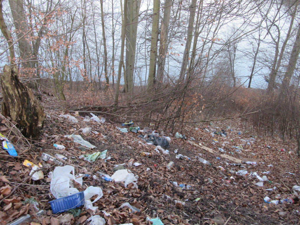 Kartuzy. Rośnie góra śmieci w Gaju Świętopełka