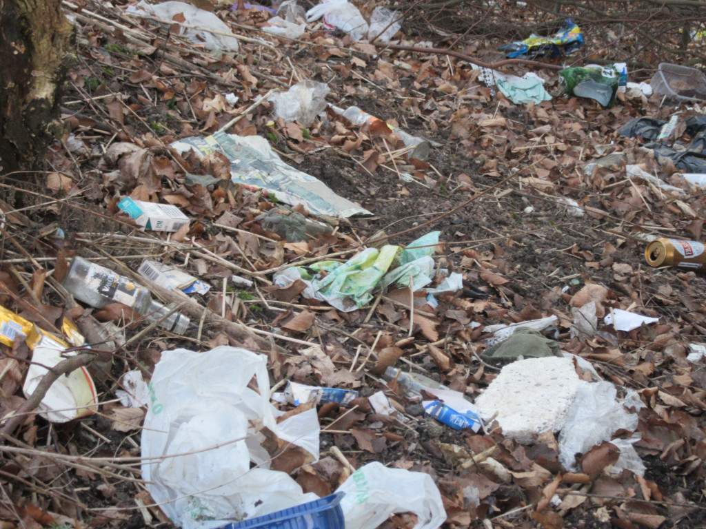 Kartuzy. Rośnie góra śmieci w Gaju Świętopełka