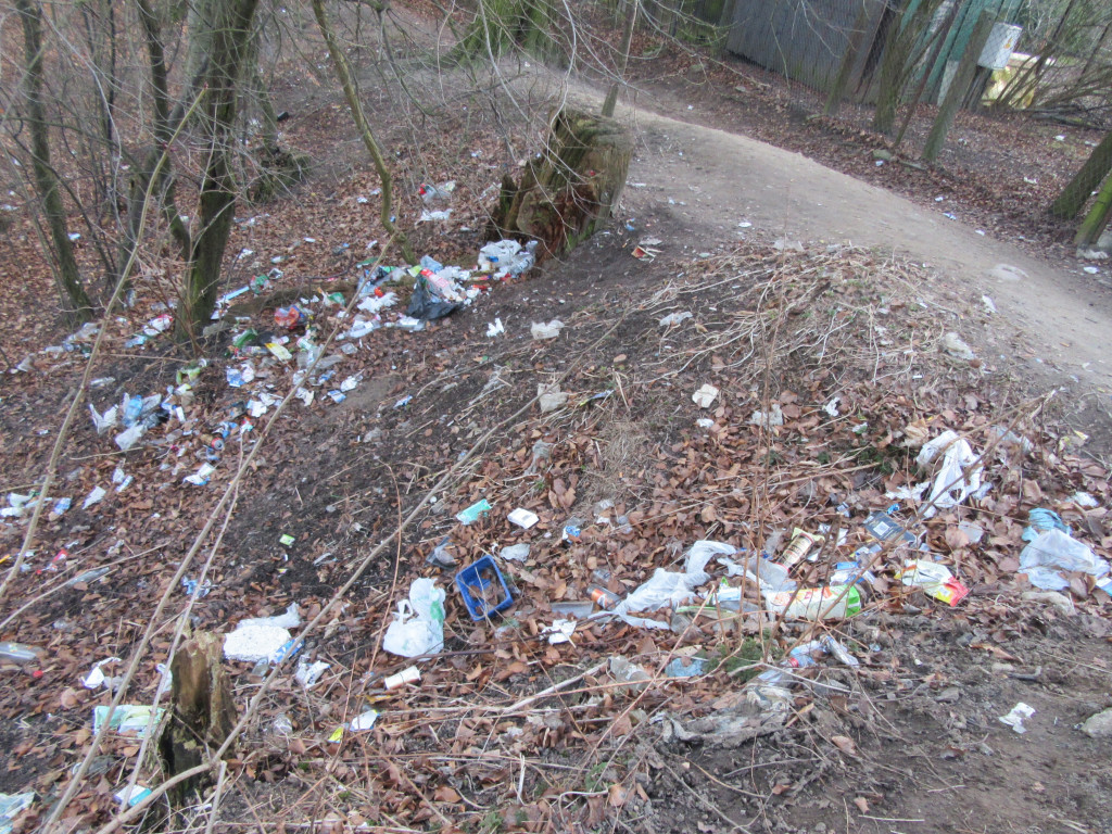 Kartuzy. Rośnie góra śmieci w Gaju Świętopełka