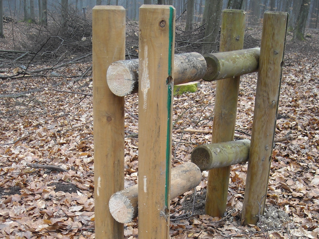 Zuchwała kradzież w lesie. Odcięli i ukradli drewniane ławki, stoły i elementy płotu