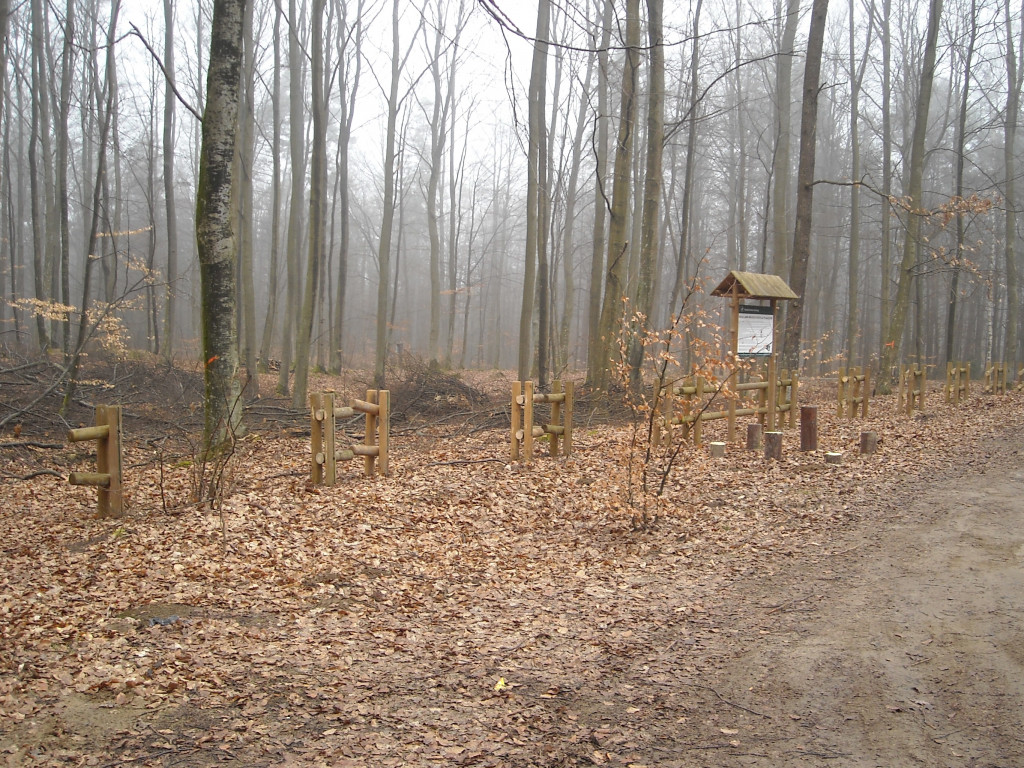 Zuchwała kradzież w lesie. Odcięli i ukradli drewniane ławki, stoły i elementy płotu