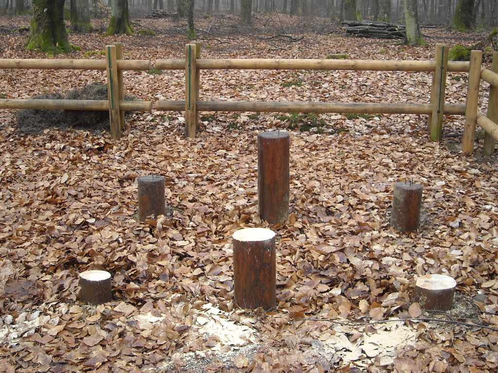 Zuchwała kradzież w lesie. Odcięli i ukradli drewniane ławki, stoły i elementy płotu