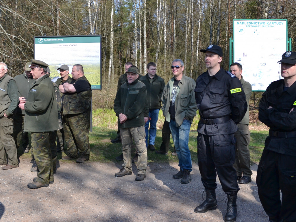 Prawie 200 osób posadziło kilka tysięcy młodych sosen w leśnictwie Bącka Huta