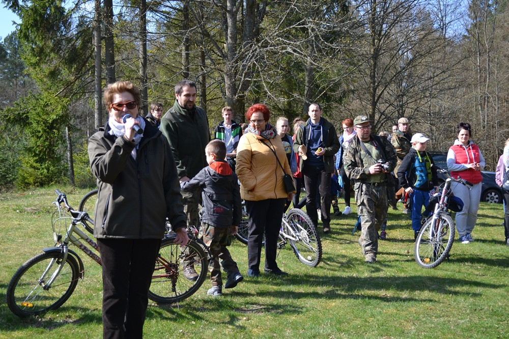 Prawie 200 osób posadziło kilka tysięcy młodych sosen w leśnictwie Bącka Huta