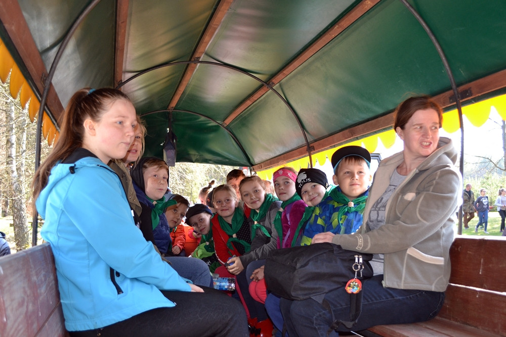 Prawie 200 osób posadziło kilka tysięcy młodych sosen w leśnictwie Bącka Huta