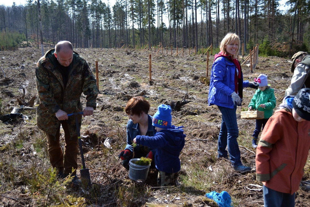 Prawie 200 osób posadziło kilka tysięcy młodych sosen w leśnictwie Bącka Huta