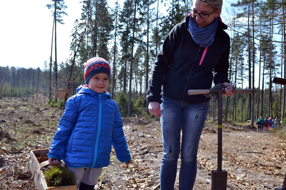 Prawie 200 osób posadziło kilka tysięcy młodych sosen w leśnictwie Bącka Huta
