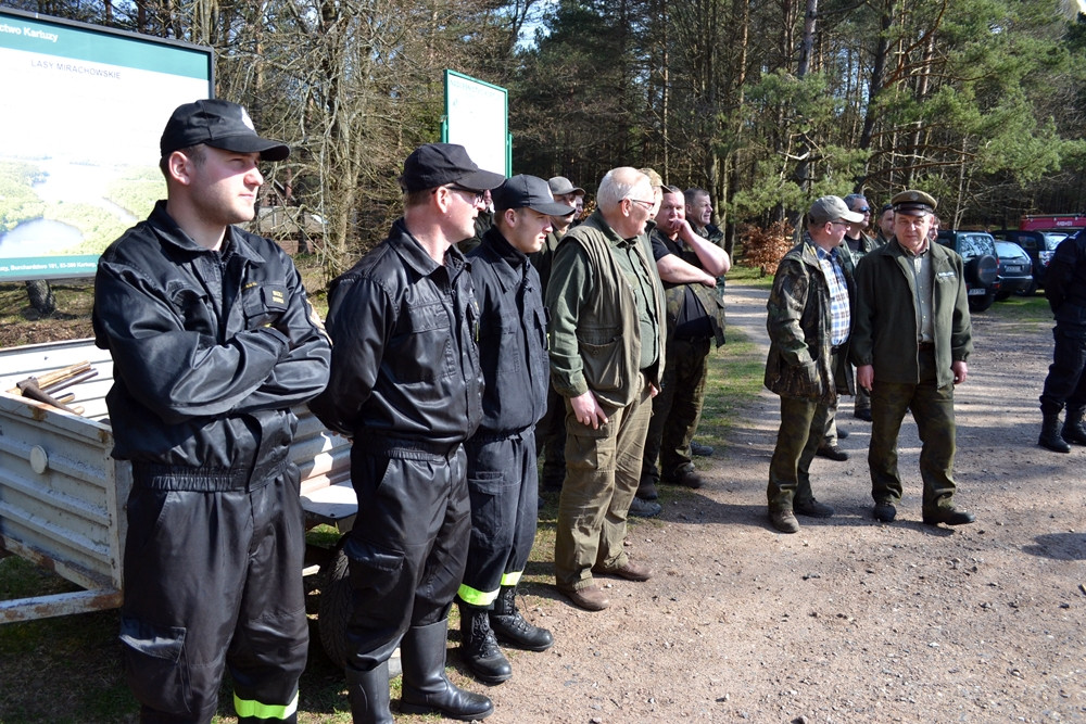 Prawie 200 osób posadziło kilka tysięcy młodych sosen w leśnictwie Bącka Huta