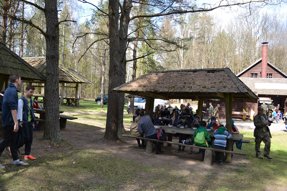 Prawie 200 osób posadziło kilka tysięcy młodych sosen w leśnictwie Bącka Huta