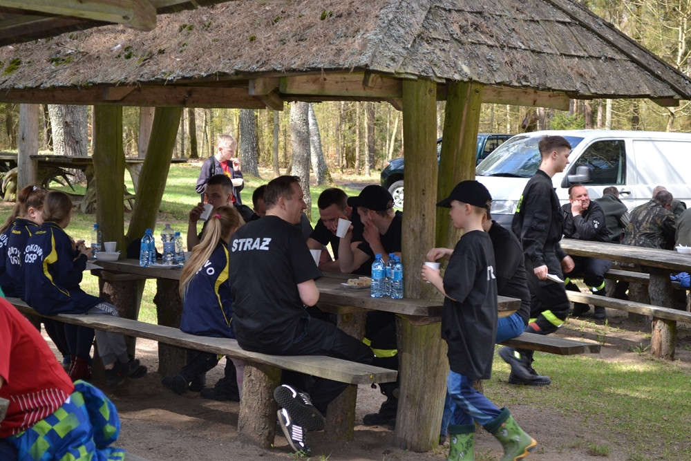 Prawie 200 osób posadziło kilka tysięcy młodych sosen w leśnictwie Bącka Huta