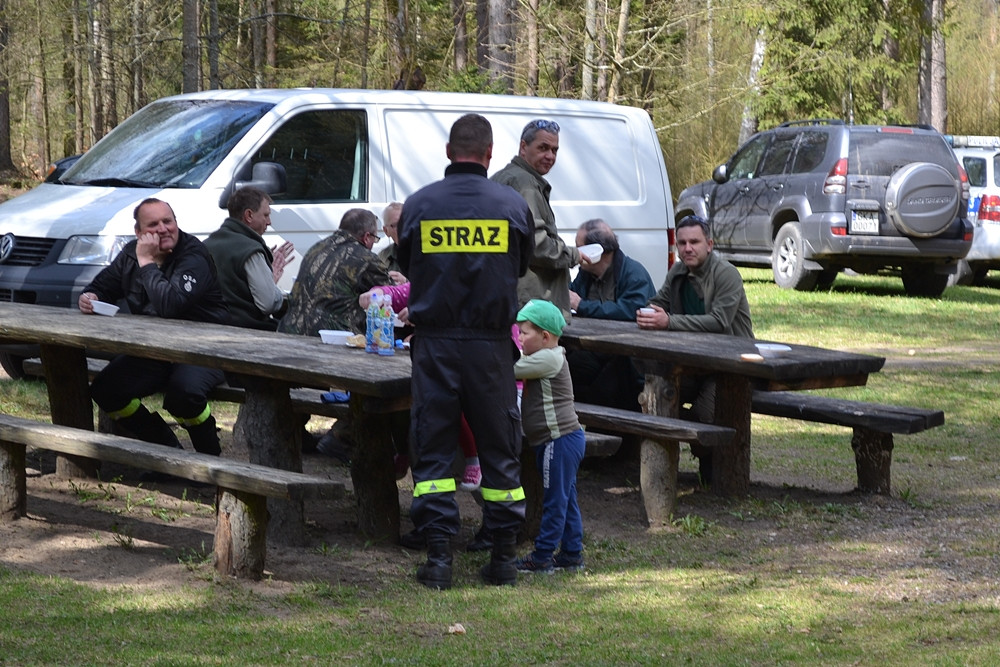 Prawie 200 osób posadziło kilka tysięcy młodych sosen w leśnictwie Bącka Huta