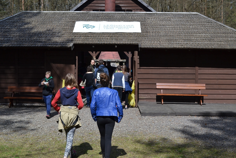 Prawie 200 osób posadziło kilka tysięcy młodych sosen w leśnictwie Bącka Huta