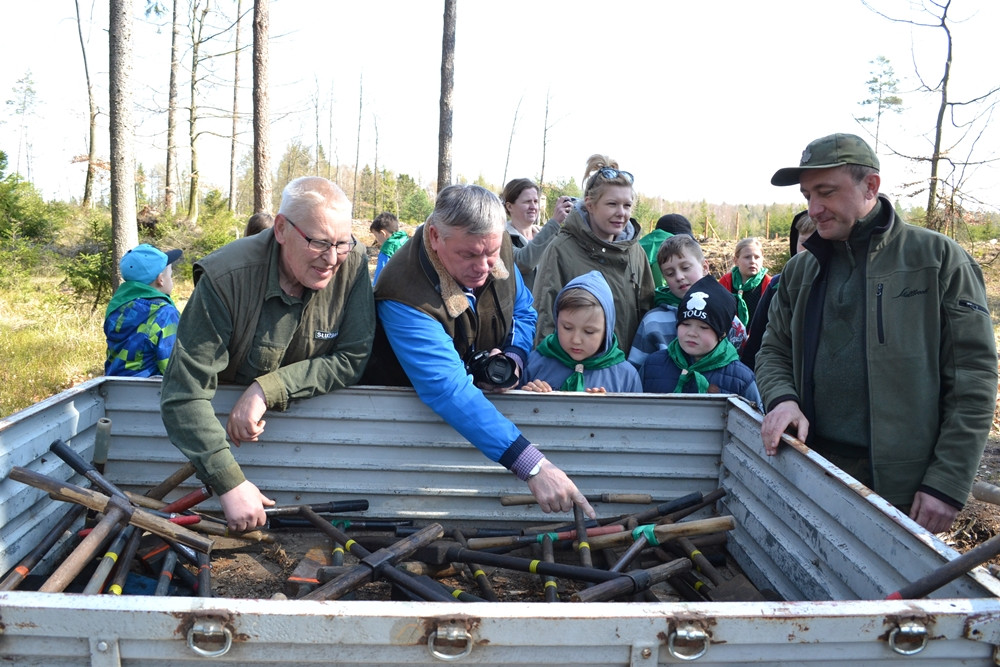 Prawie 200 osób posadziło kilka tysięcy młodych sosen w leśnictwie Bącka Huta
