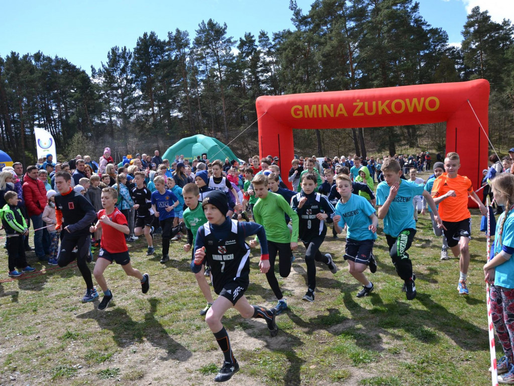Żukowo. Rekordowe jubileuszowe biegi przełajowe. Ścigało się blisko 600 biegaczy
