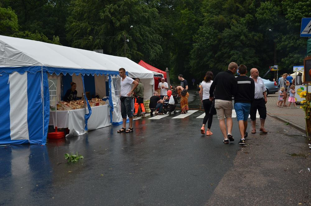 Truskawkobranie 2016. Dzień pierwszy przerwany z powodu pogody