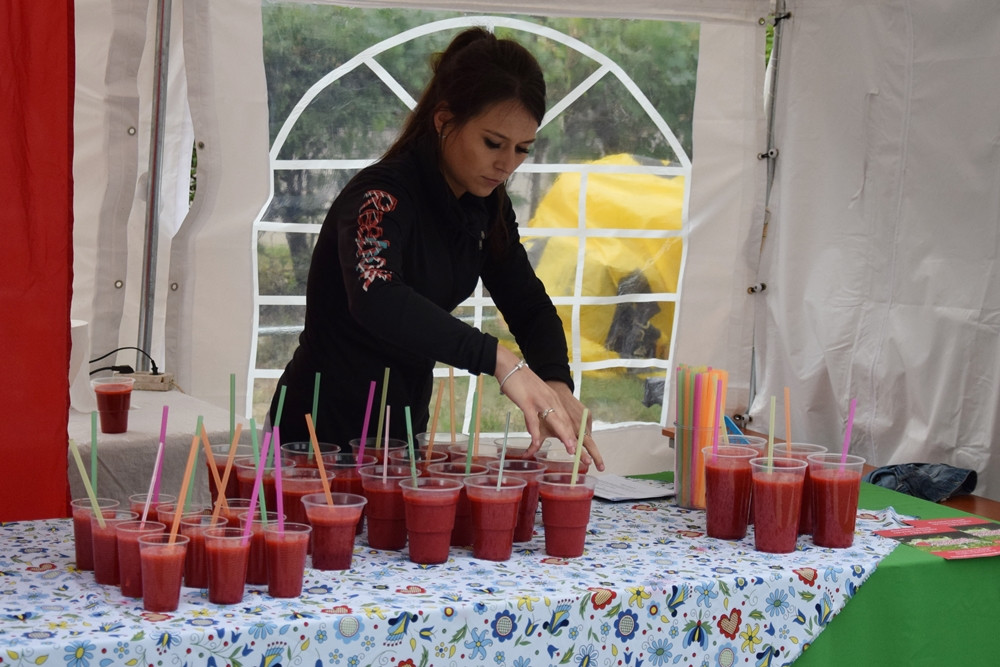 Truskawkobranie 2016. Dzień drugi: lepsza pogoda, ale frekwencja nie powaliła