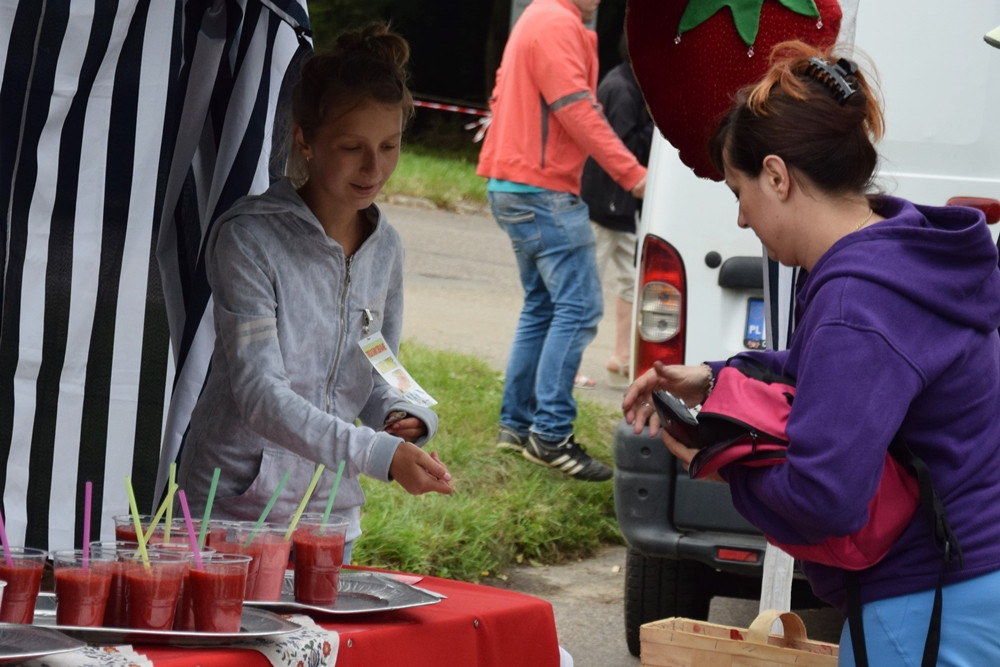Truskawkobranie 2016. Dzień drugi: lepsza pogoda, ale frekwencja nie powaliła