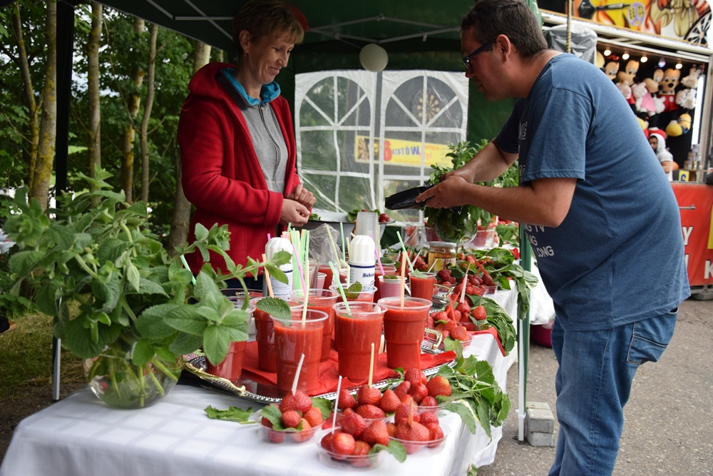 Truskawkobranie 2016. Dzień drugi: lepsza pogoda, ale frekwencja nie powaliła