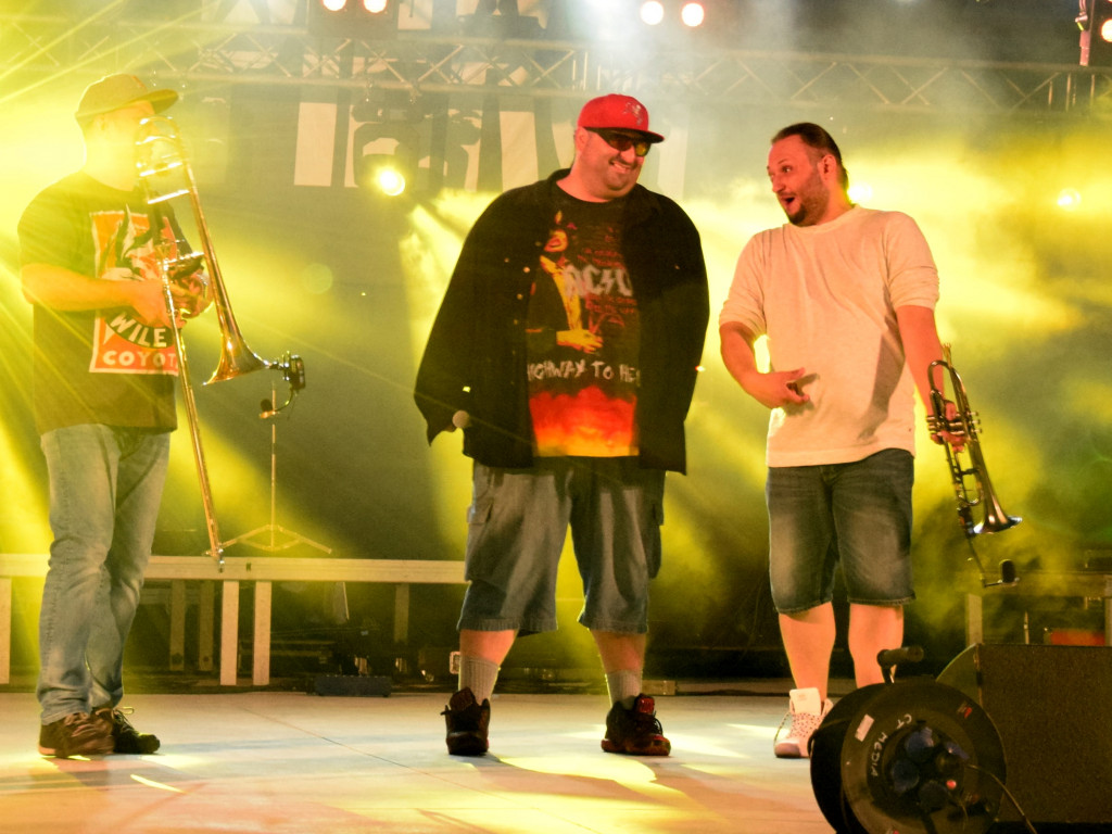 Truskawkobranie 2016. Dzień drugi: lepsza pogoda, ale frekwencja nie powaliła