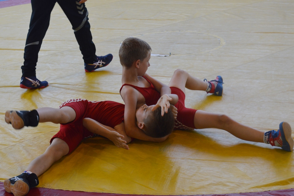 Zapasy. Siedem medali w Pelplinie dla najmłodszych zawodników Cartusii