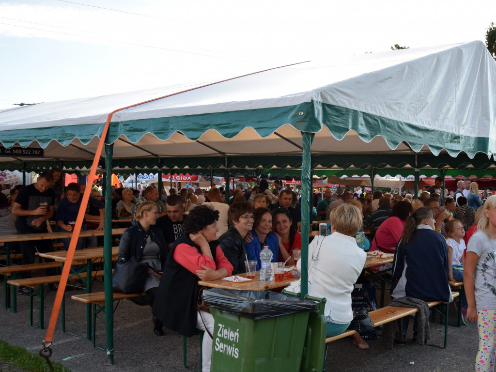 Przodkowo. Roztańczony piknik rodzinny w rytmie disco polo