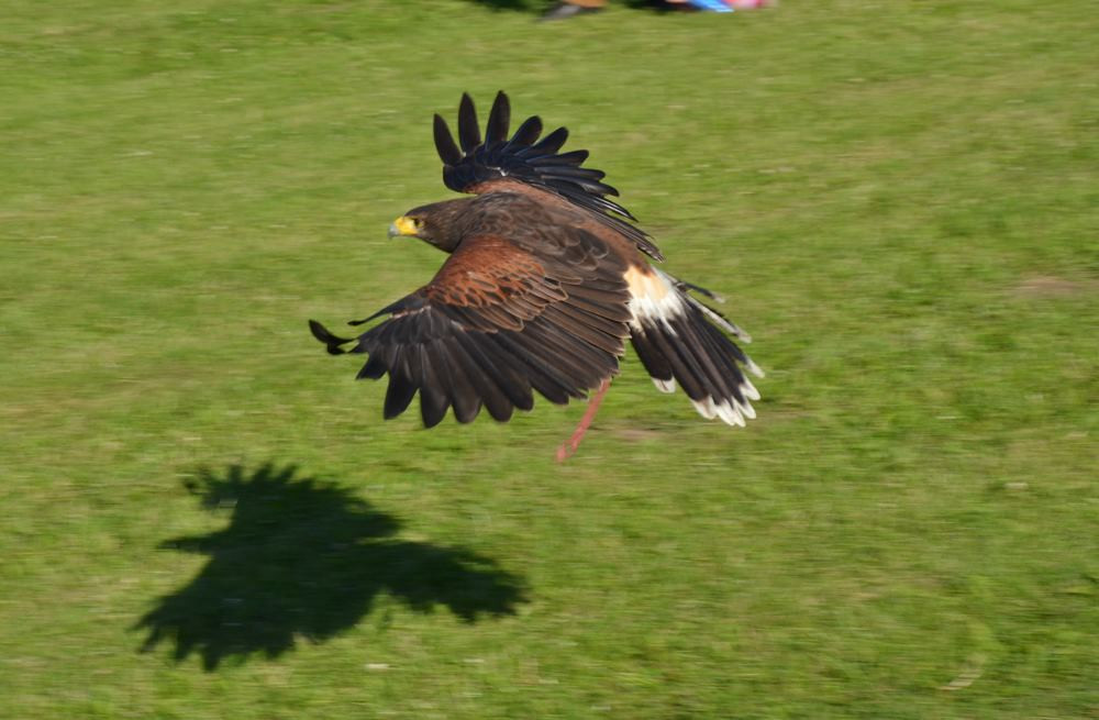 Sierakowice. Knieja z finałem w rytmie disco polo