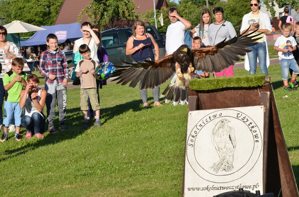 Sierakowice. Knieja z finałem w rytmie disco polo