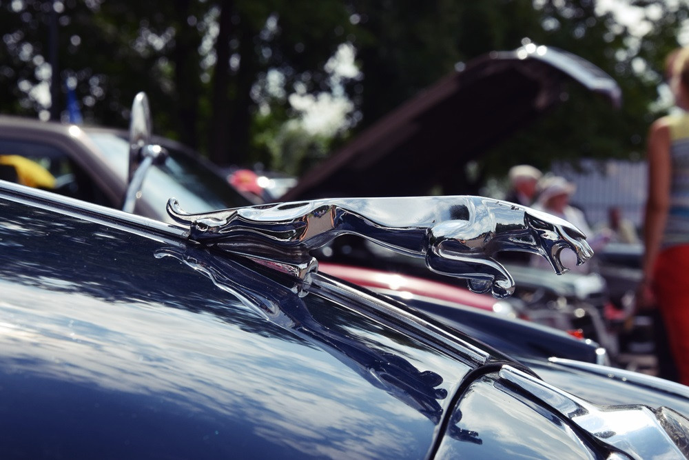 Kartuzy. Perełki motoryzacji lśniły w Parku Solidarności