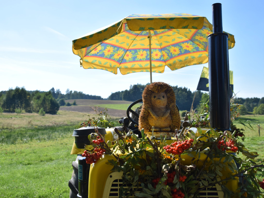 Rolnicy dziękują za plony. Tak było w Borku, Sierakowicach, Kartuzach i Chmielnie