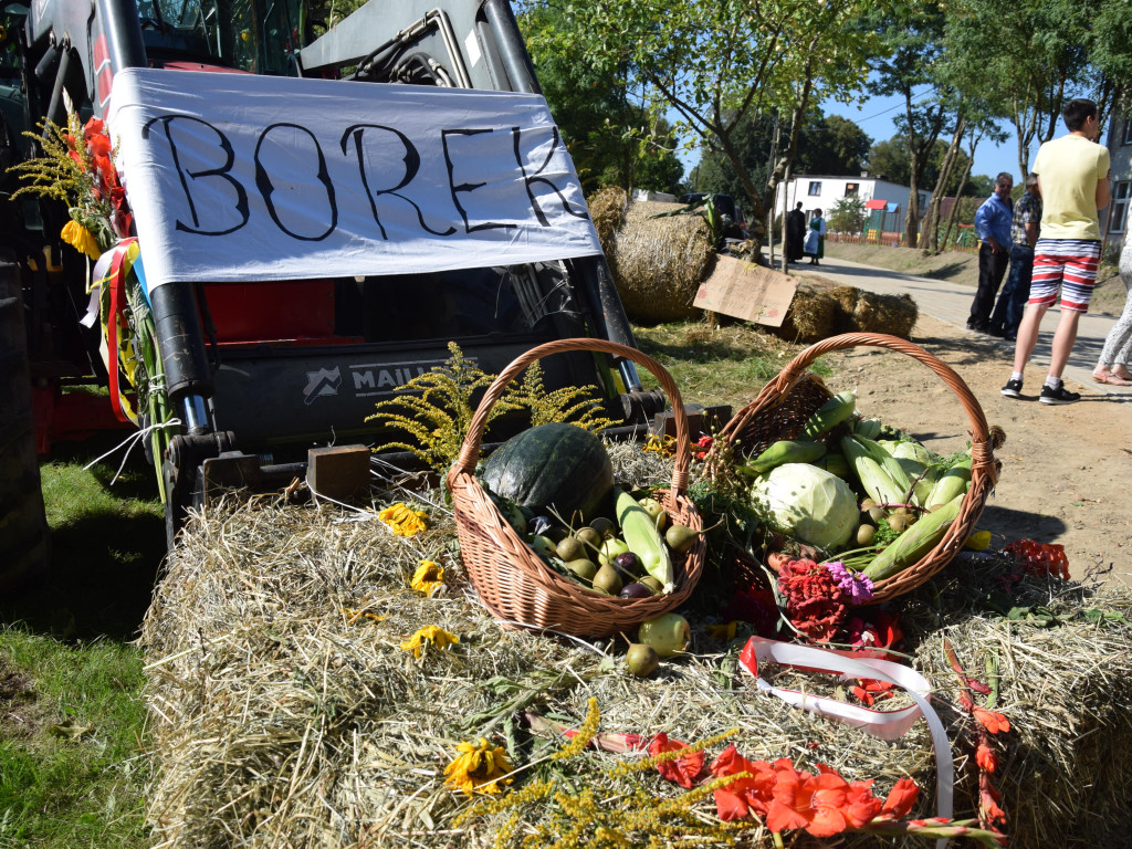 Rolnicy dziękują za plony. Tak było w Borku, Sierakowicach, Kartuzach i Chmielnie