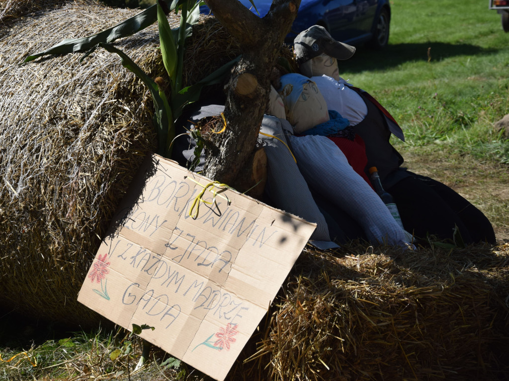 Rolnicy dziękują za plony. Tak było w Borku, Sierakowicach, Kartuzach i Chmielnie