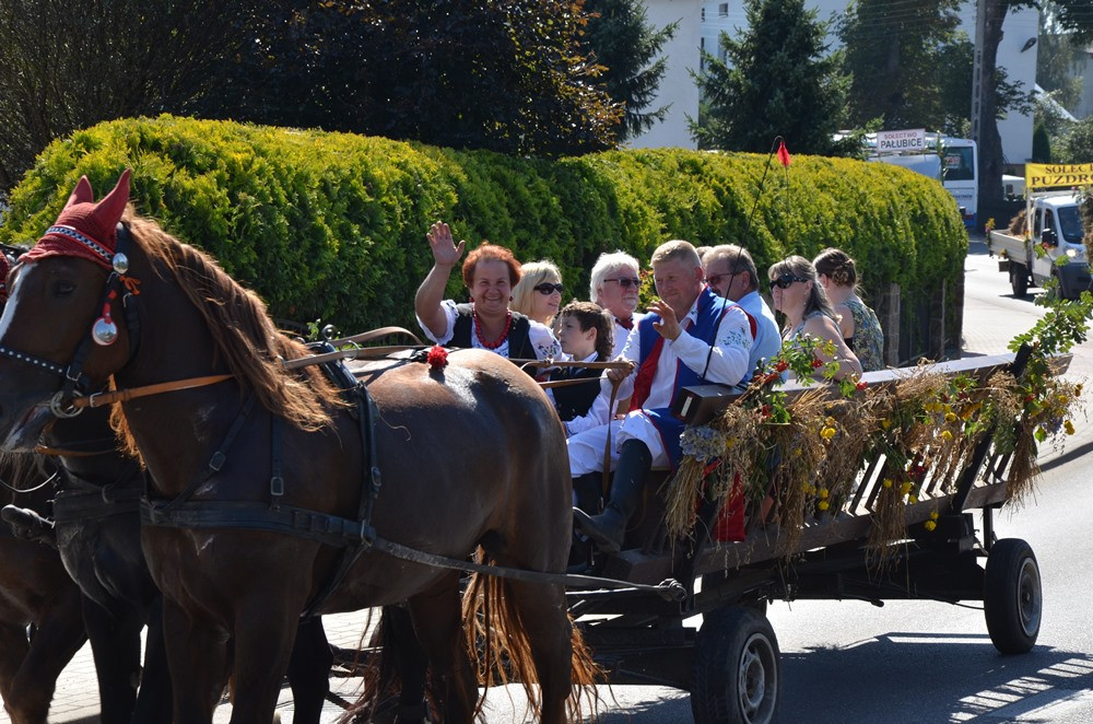 Rolnicy dziękują za plony. Tak było w Borku, Sierakowicach, Kartuzach i Chmielnie