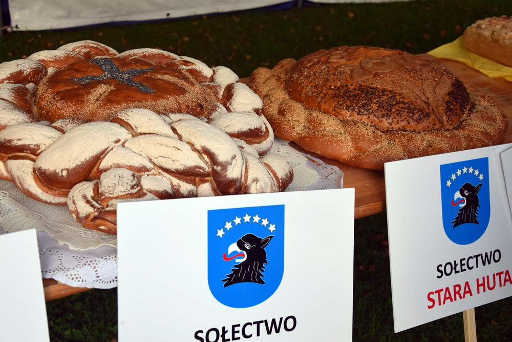 Rolnicy dziękują za plony. Tak było w Borku, Sierakowicach, Kartuzach i Chmielnie