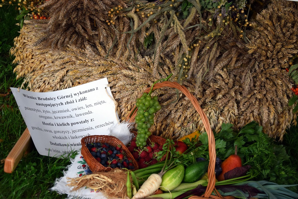 Rolnicy dziękują za plony. Tak było w Borku, Sierakowicach, Kartuzach i Chmielnie