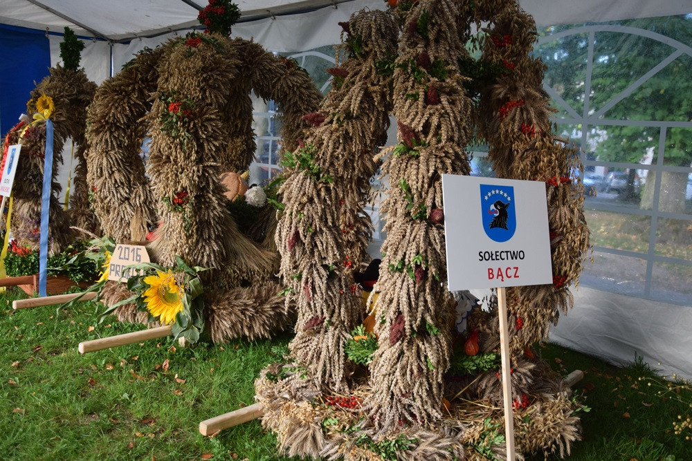 Rolnicy dziękują za plony. Tak było w Borku, Sierakowicach, Kartuzach i Chmielnie